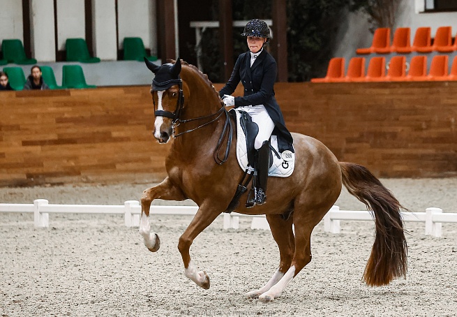 Третий день турнира по выездке завершился в MAXIMA PARK! 