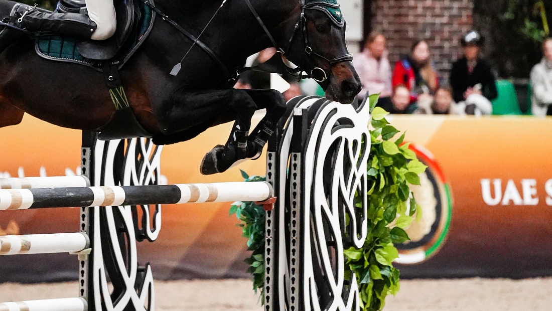 Завершился второй день Кубка ОАЭ по конкуру!